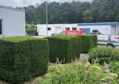 häckklippning i halmstad